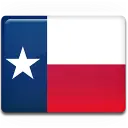 Bandera del estado